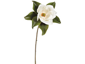 Magnolia 29” stem